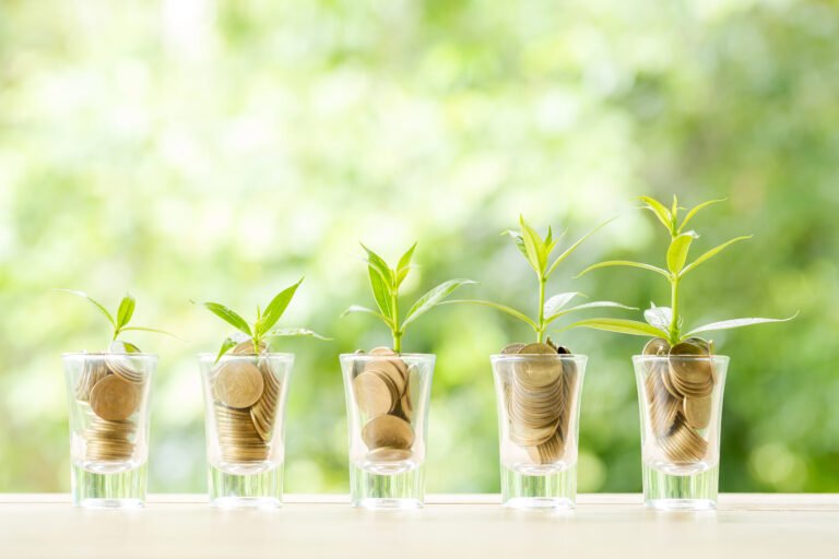 DI supported various investment companies and private equity funds in SEA + India